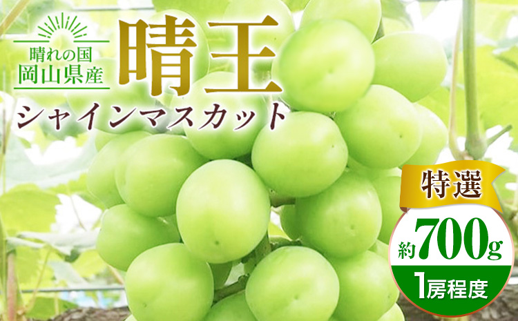 ぶどう シャインマスカット晴王 約700g【特選】 橋田商店有限会社《9月中旬-11月中旬頃出荷》 岡山県 浅口市 岡山県産 ぶどう フルーツ 果物 くだもの マスカット 送料無料【配送不可地域あり】