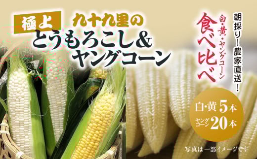 【先行予約】【6月上旬より発送】朝採り!農家直送! 九十九里の極上とうもろこし2種類＋ヤングコーン食べ比べ ／ とうもろこし トウモロコシ コーン ゴールドラッシュ ワクワクコーン 白いとうもろこし 味甘ちゃんホワイト ヤングコーン シャキシャキ 朝採れ 濃厚な甘み 新鮮 農家直送 千葉県 千葉県山武市 SMBU003