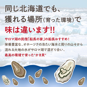 【予約：2024年10月下旬から順次発送】サロマ湖自慢の殻付きカキ貝 2年物 4.5kg詰め ( 牡蠣 かき 濃厚 魚介類 貝類 カキ ふるさと納税 牡蠣 北見市 BBQ )【114-0013-202