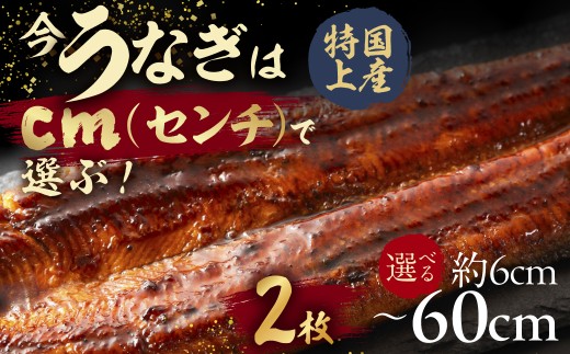 【うなぎ蒲焼　12cm（6cm×2枚）】今、うなぎはセンチで選ぶ！ 長さ選べる 国産 うなぎ蒲焼 カット鰻 うなぎ ウナギ unagi カット済 うな重 冷凍 うな丼 ストック 蒲焼 タレ付 選べる 簡単 簡単調理 訳あり 規格外 人気 三河  愛知県 豊橋市