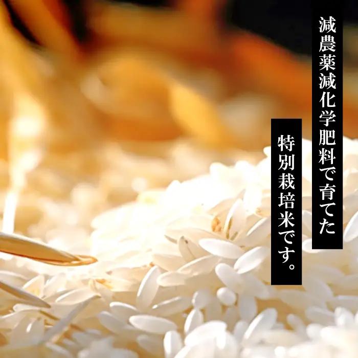 さんべ浮布米（無洗米）定期便（5kg×5回コース）【令和7年産 コシヒカリ 無洗米 5kg 5回 定期 2025年産 こしひかり 5kg×5回 合計25kg 5回定期便 特別栽培米 島根県産 大田市産