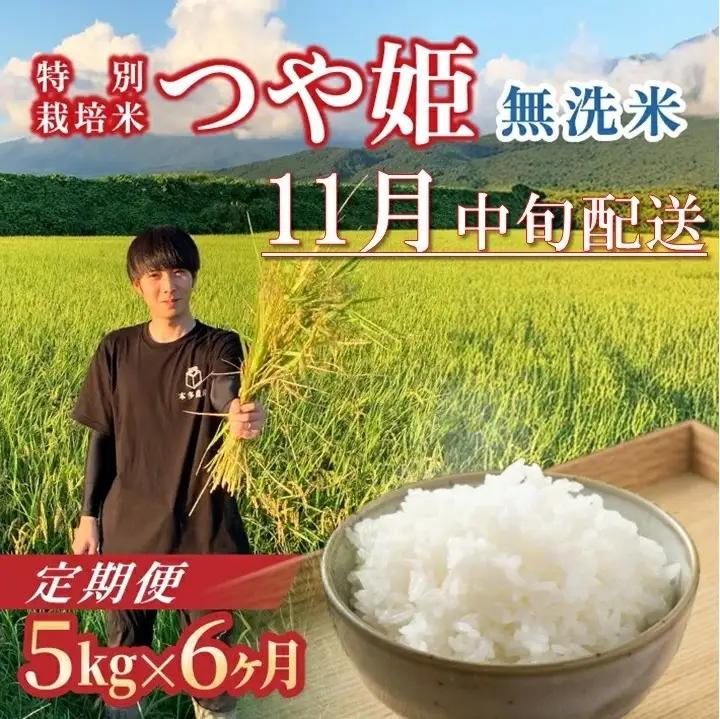 SH0071　11月中旬発送開始／【6回定期便】令和8年産 ［無洗米］つや姫　5kg×6回(計30kg) 農家直送 HO