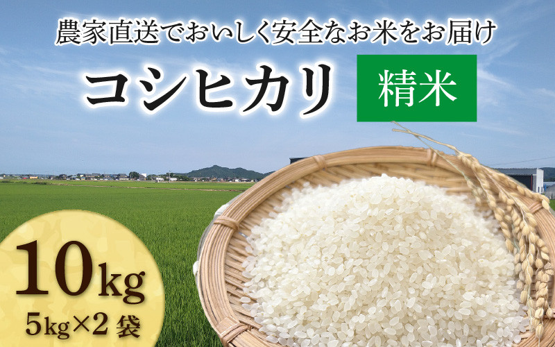 
                  【先行予約】【令和8年産 新米】コシヒカリ 精米 10kg（5kg×2袋）JGAP認証米 / 米 10キロ 一等米 福井県産 ブランド米 ご飯 白米 お米 コメ 新鮮 小分け ※2026年10月上旬より順次発送 [aw094-b003]
                
