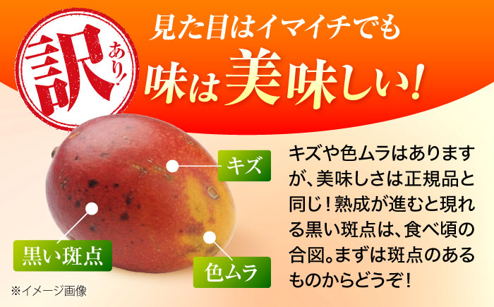 訳あり 完熟マンゴー 約3kg (約1.5kg (3～6玉) ×2箱) マンゴー 沖縄 果物 フルーツ ギフト 沖縄市 / ちゃんぷる～市場 [BCAA003]