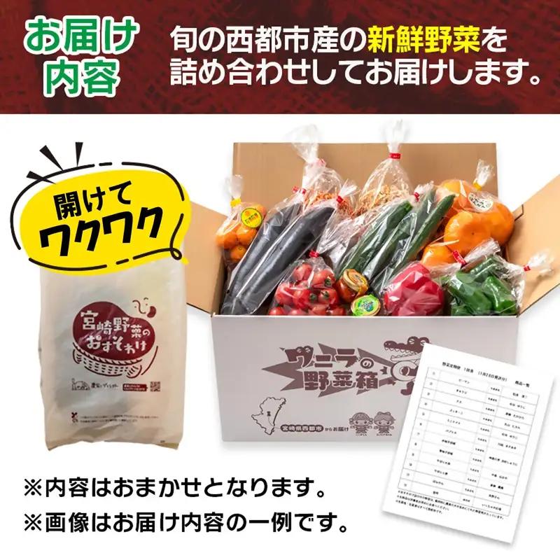 【5ヶ月定期便】西都市旬の特産詰め合わせセット 野菜・マンゴー・スイートコーン等＜32-5a＞野菜 フルーツ