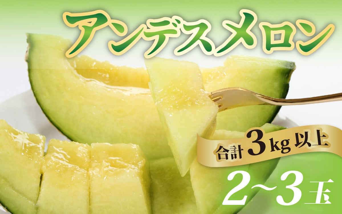 
            【先行予約】【訳あり】立体栽培の甘味凝縮アンデスメロン [A-180001] 【2026年6月下旬発送予定】【福井市三里浜砂丘地産】2L～５Lサイズ　2～3玉入り　約3Kg以上 / メロン アンデス めろん フルーツ 果肉 スイーツ 旬 福井 ふくい 果物 アンデスメロン 舐瓜 緑色 青肉 3L 4L 5L サイズ 2玉 3玉 3kg 糖度
          