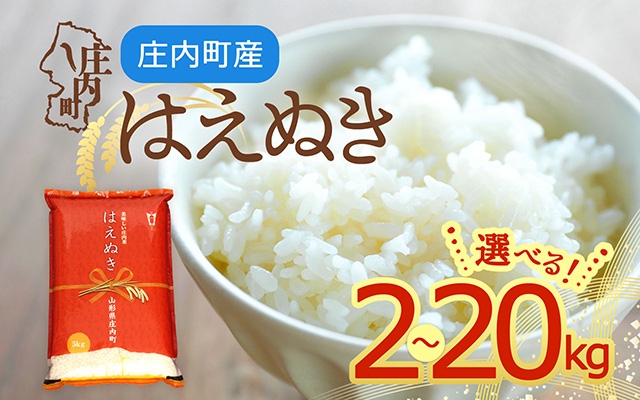 
                  【令和7年産】はえぬき 2kg～20kg 山形県庄内町産 余目産 庄内米 ブランド米 米 コシヒカリの原点、亀の尾発祥の地 甘み 粘り バランスの良い ごはん お弁当 家庭用
                