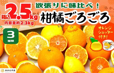 旬の柑橘食べ比べ 柑橘ごろごろ 3種 箱込 2.5kg(内容量 2.3kg) 秀品 優品 混合 和歌山県産 産地直送 【おまけ付き】【みかんの会】