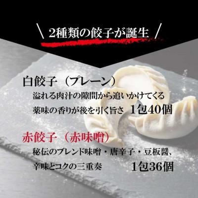 ふるさと納税 岸和田市 餃子の讃岐　2種の餃子セット【プレーン・赤味噌】 |  | 02