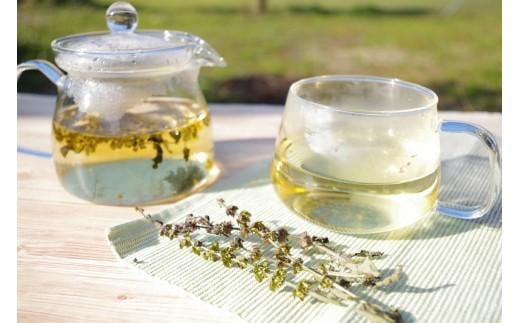 自然栽培 ハーブティー ホーリーバジル 100本（約1ヶ月分）【お茶 茶葉 飲み物 飲料 バジル リラックス 大容量 人気 おすすめ 鳥取県 琴浦町 送料無料】