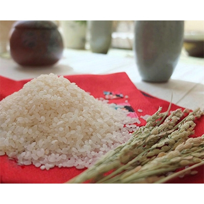 
                  2022年11月発送開始『定期便』 ＜無洗米＞奈良県大和高田市産ヒノヒカリ5kg 全6回【5077566】
                