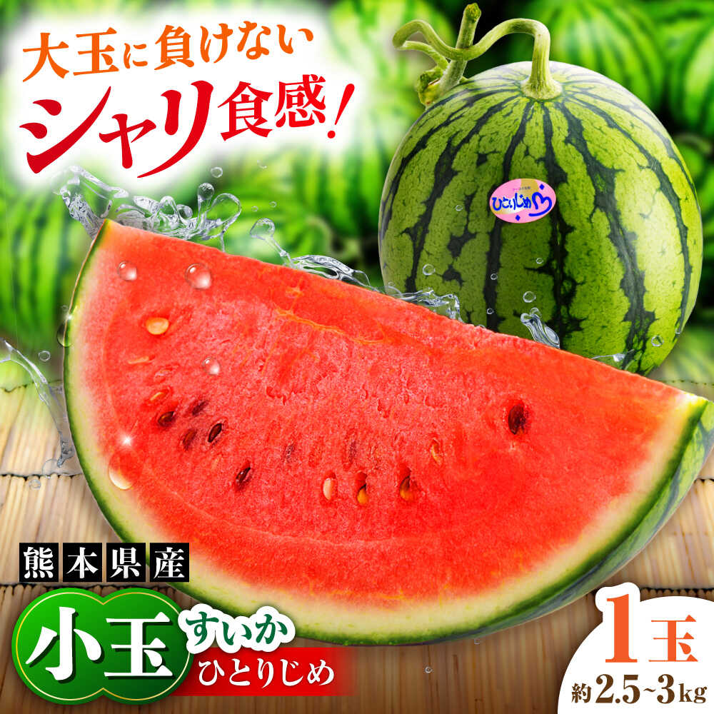 【ふるさと納税】【先行予約】【2027年4月中旬より順次発送】【数量限定】小玉すいか 1玉入（約2.5〜3kg） 【一般社団法人クラッシーノこうし】[AYAB023]