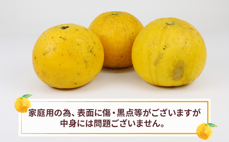 愛媛 みかん メイポメロ イエローポメロ 8kg 10~12個 詰合せ 山本みかん ポメロ 果物 フルーツ 柑橘 蜜柑 農家直送 産地直送 数量限定 国産 宇和島 B015-038005