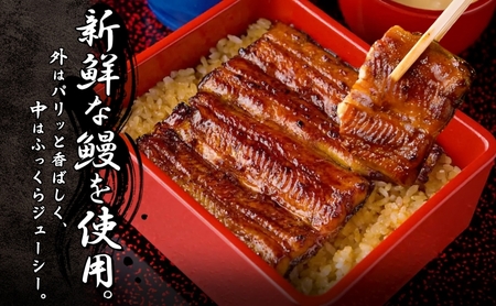 うなぎ蒲焼き鰻の里魚庄うなぎ【蒲焼大】