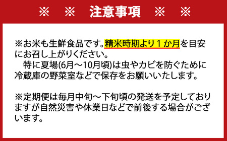 さがびより 白米 10kg×12回