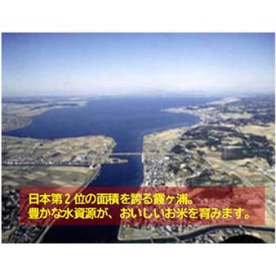 ふるさと納税 茨城県 筑波山麓産米を中心に厳選した【茨城県産こしひかり】白米15kg 令和7年産 |  | 01
