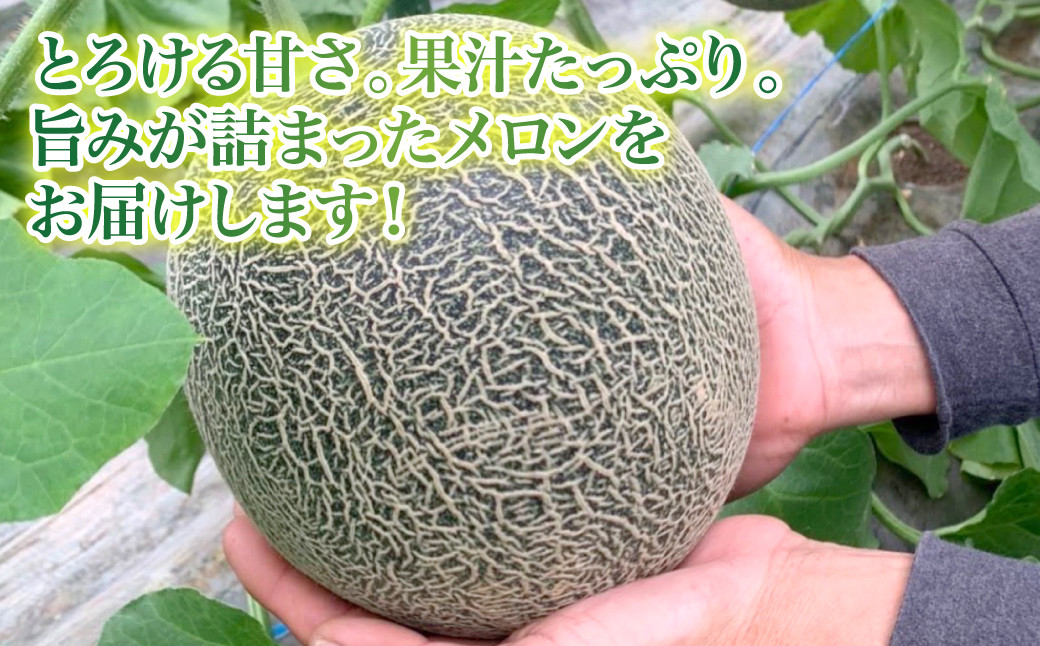 とろける甘さ。果汁たっぷり。旨みが詰まったメロンをお届けします！