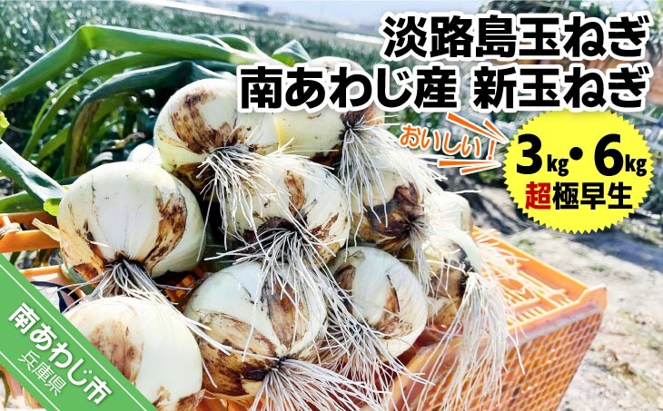 
                  【量が選べる！新玉予約！】淡路島玉ねぎ 南あわじ産　新玉ねぎ（超極早生）　◆配送２月～
                