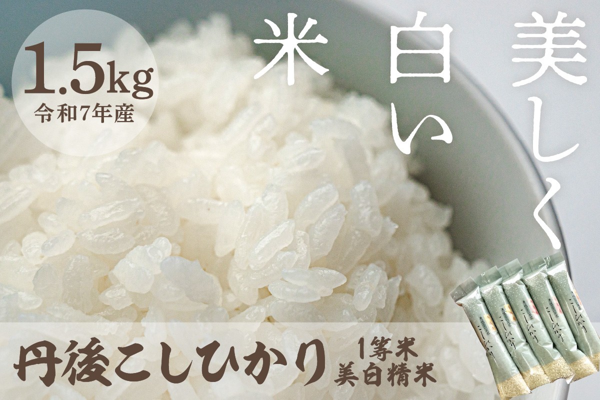 
            令和7年産　美白精米 丹後こしひかり 1.5kg(2合×5袋) 1等米　京都産 京丹後産 コシヒカリ こしひかり 美白精米 美白米 精米 米 こめ コメ 1等米 R7 ご飯 ごはん 白飯 白米 ふるさと納税 京丹後 丹後 1.5kg おすそ分けにも　MU00051
          
