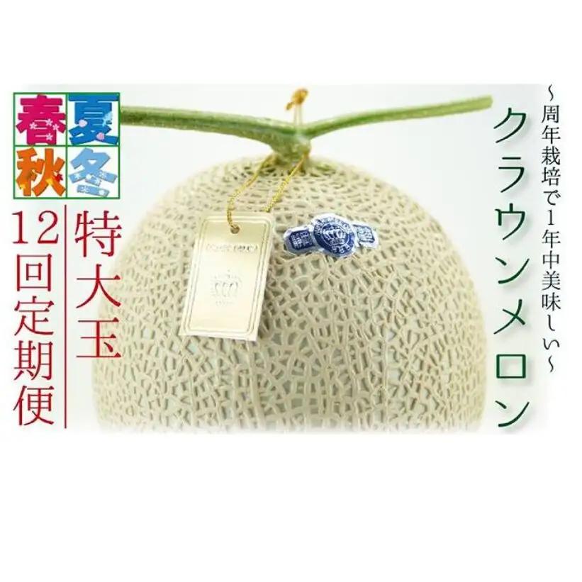 メロン 12ヶ月 定期便 クラウン 白等級 特大玉 メロン