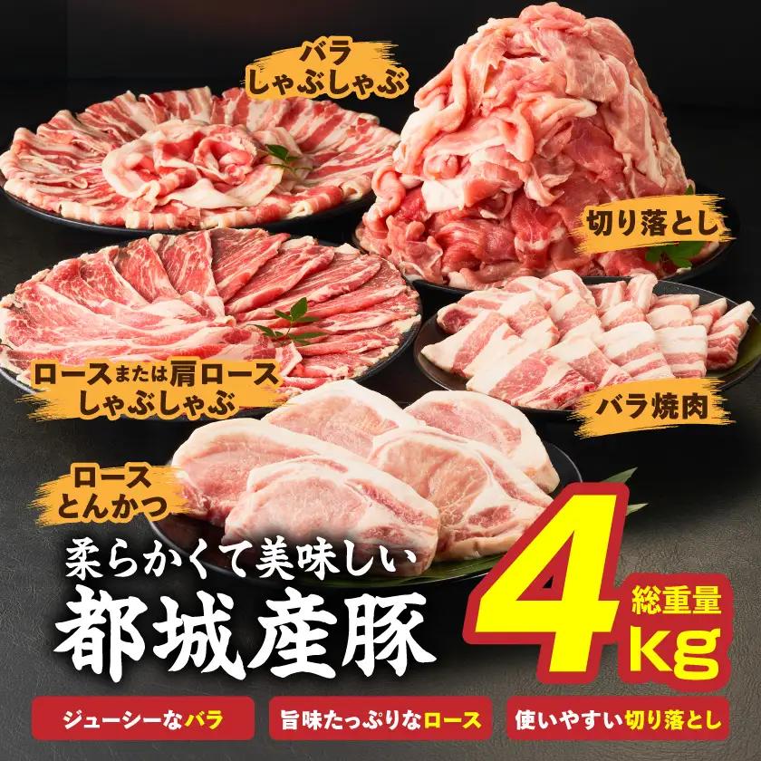 都城産豚バラエティセット4kg〔25-017〕_(都城市)