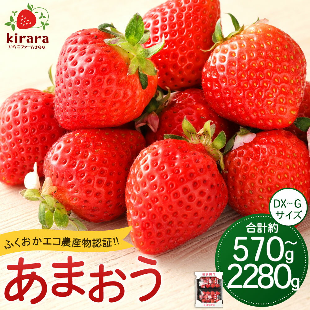 【ふるさと納税】あまおう いちごファームきらら【ふくおかエコ農産物認証】〈選べる〉約570g / 約1140g / 約1710g / 約2280g 1パック約285g いちご イチゴ 苺 フルーツ 果物 くだもの 冷蔵 久留米産 福岡県 香春町 送料無料【2026年2月上旬-3月下旬発送予定】