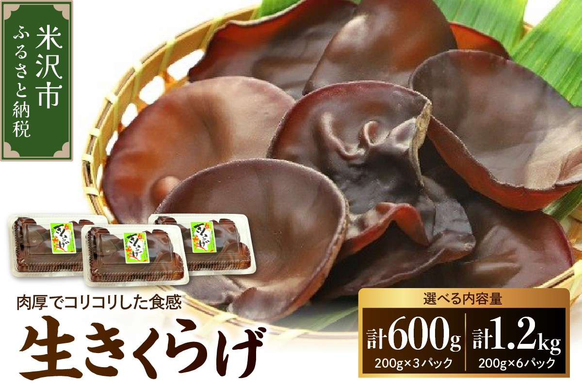 
                  期間限定 生きくらげ 600g または 1.2kg 2026年6月～10月中旬頃 お届け予定 国産 米沢産 生 きくらげ きのこ 冷蔵 木耳 キクラゲ 山形県 米沢市
                