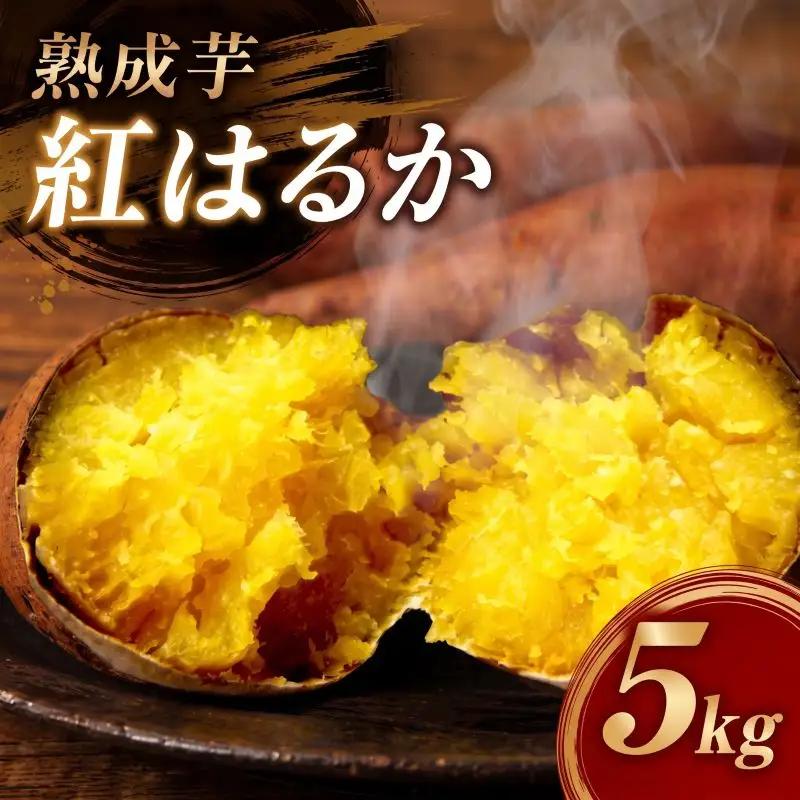 【2027年1月～3月順次発送】 さつまいも 紅はるか 熟成芋 約5kg さつまいも