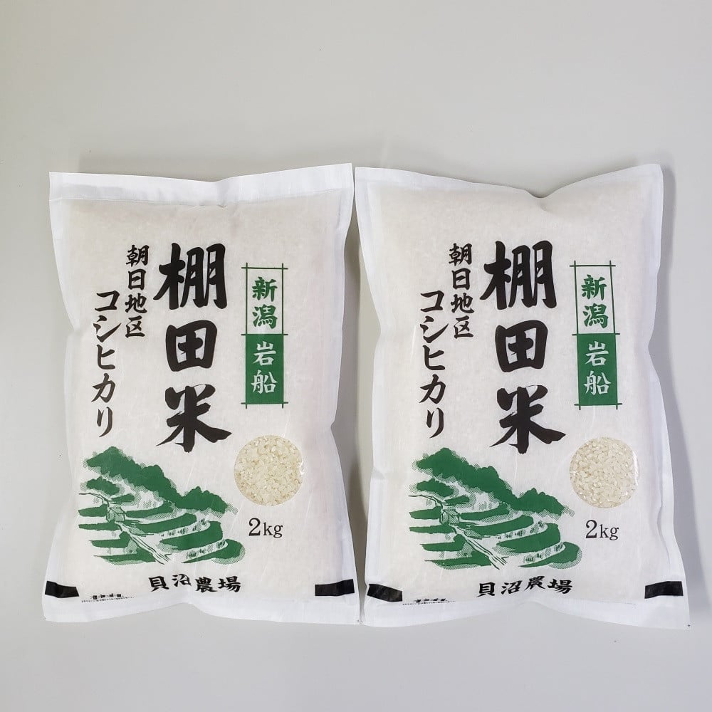 【令和7年産米】新潟県村上市岩船産 棚田米コシヒカリ 4kg（2kg×2袋）1067084