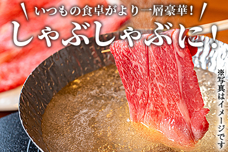 ★すきしゃぶ用 牛肉★＜宮崎牛 外モモ 赤身 スライス 500g+100g（合計600g）＞翌月末迄に順次出荷【 牛 肉 牛肉 和牛 牛肉 黒毛和牛 牛肉 モモ 牛肉 すき焼き 牛肉  しゃぶしゃぶ 