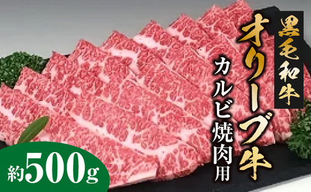 黒毛和牛オリーブ牛 カルビ焼肉用 約500ｇ_M18-0011