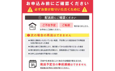 《訳あり》ご家庭用 ふじりんご 5kg 山形県産 2025年産 令和7年産 【2025年12月頃より順次発送予定】（フードロス対応・食品ロス・規格外・SDGs・生産者支援）　010-B-NG009