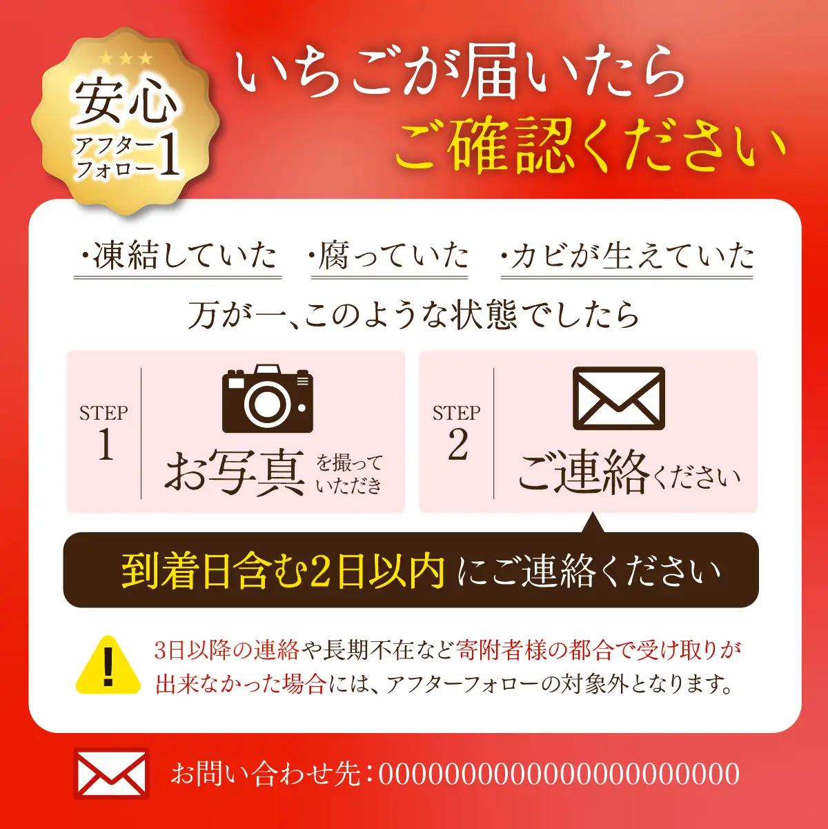 いちご【1月以降発送】とちおとめ 大粒 約270g×4 合計 約1080g | イチゴ 栃木県 茂木町