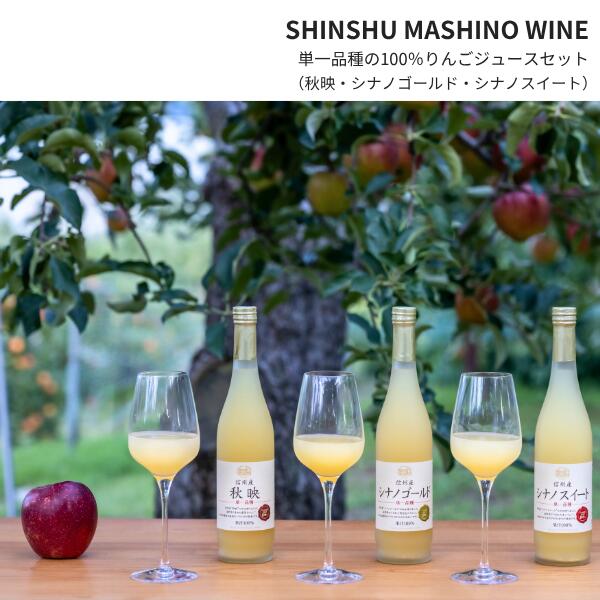 【ふるさと納税】信州産 林檎ジュース3種セット（秋映／シナノスイート／シナノゴールド 500ml×3本）