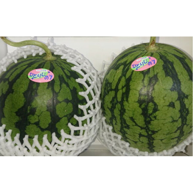 【産地直送】和歌山産小玉すいか「ひとりじめ7(セブン)」2玉入り 3.5kg以上 ※北海道・沖縄・離島への配送不可 ※2025年6月下旬～7月下旬頃に順次発送予定_イメージ3