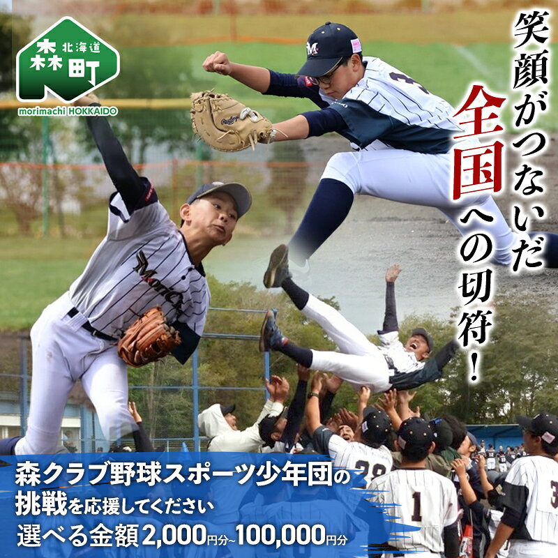 【ふるさと納税】 【返礼品なし】笑顔がつないだ全国への切符！森クラブ野球スポーツ少年団の挑戦を応援してください（2,000円～100,000円） ＜北海道森町＞ 北海道 森町 ふるさと 応援 支援 3000円以下 10万円 mr1-1552var