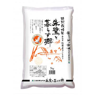 ふるさと納税 佐渡市 【毎月定期便】特別栽培米佐渡産コシヒカリ・朱鷺と暮らす郷5kg全6回 |  | 01