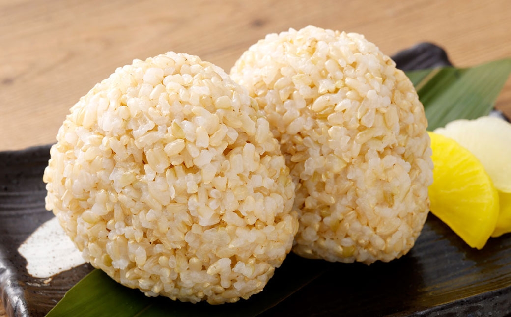 今安R.C 桑名産 農家直送の玄米 10kg×1袋