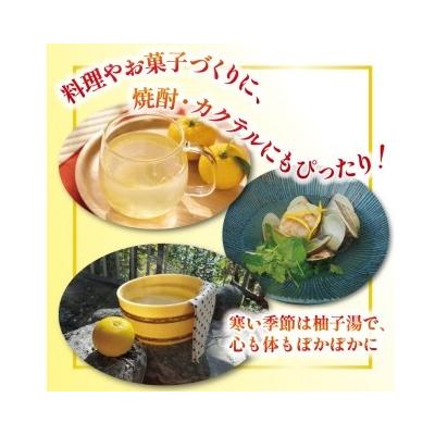 ふるさと納税 安田町 ゆず玉(安田町産)柚子　12〜15玉 |  | 01