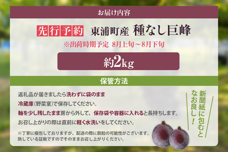【先行予約】東浦町産 種なし巨峰・約2kg ぶどう 葡萄 ブドウ 巨峰 グレープ 種なし 種無し たねなし 新鮮 朝採り 直送 甘い おやつ スイーツ 愛知県 東浦町