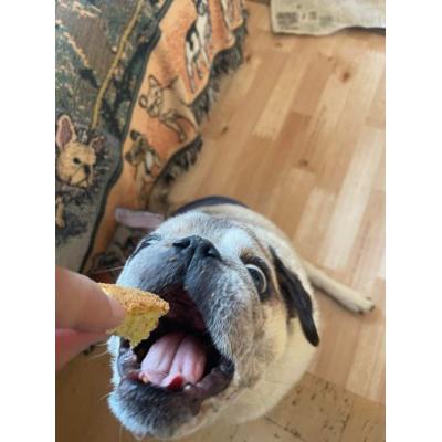 ふるさと納税 世田谷区 無為自然　一期一会・S(米粉シフォンケーキとスペシャルティコーヒーセット)【世田谷みやげ】 |  | 03