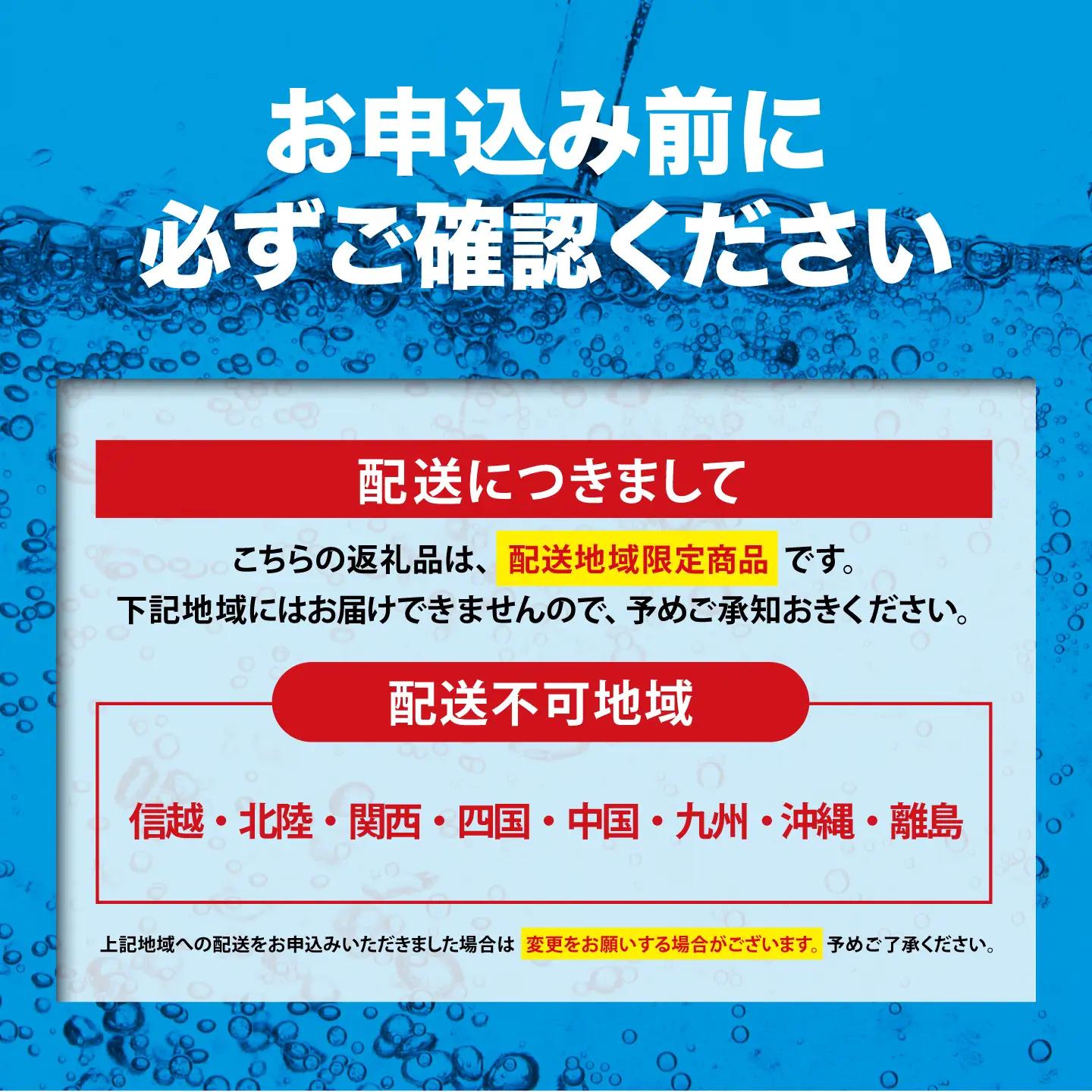 強炭酸水 最短3日 ラムネフレーバー 500ml 24本×2箱 計48本入 炭酸