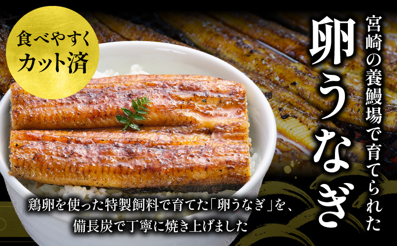 「卵うなぎ」備長炭手焼カット蒲焼 10袋(計1000g) うなぎ 蒲焼 国産