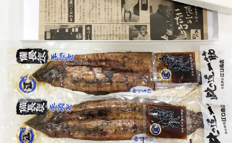 国産鰻 炭火焼き 2尾 うなぎ 柳川 鰻