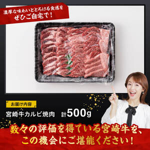 宮崎牛 カルビ焼肉 500g 【 肉 牛肉 国産 宮崎県産 黒毛和牛 カルビ 焼肉 】