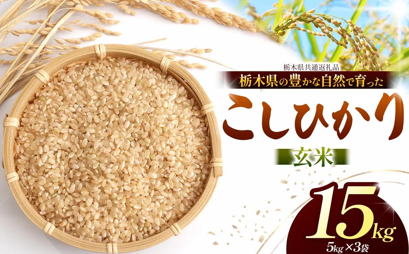 【栃木県共通返礼品】【令和８年度産】コシヒカリ 15kg お米 米 | 栃木県 那珂川町 送料無料