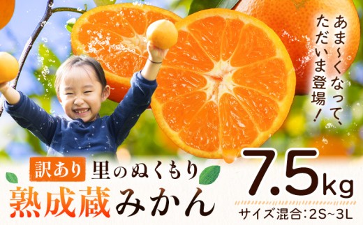 訳あり 熟成みかん 7.5kg 《1月上旬-3月上旬頃出荷》徳島 柑橘 ミカン 蜜柑 フルーツ 青果物 大容量 徳島県 佐那河内村
