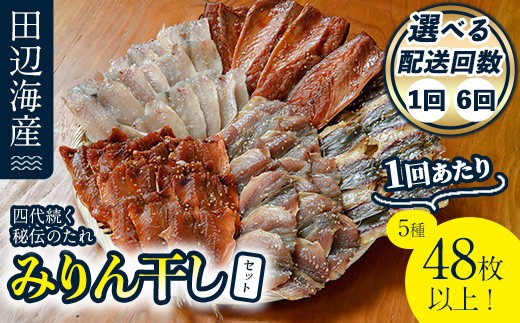 
                   ＜お届け回数が選べる！＞ 四代続く秘伝のたれ みりん干しセット (合計5種・48枚以上：1回・隔月6回) 定期便 干物 魚 鯵 鯖 みりん かます 醤油 食べ比べ おかず 国産 詰め合わせ セット さばみりん あじみりん おつまみ 朝食 【FT01・FT03】【田辺海産】
                