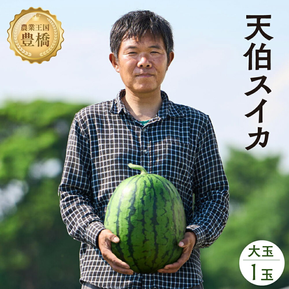 【ふるさと納税】鈴木さんの 『天伯スイカ』 大玉 1玉 糖度11度以上 2L 以上（7kg 以上）6月 7月 くだもの フルーツ すいか スイカ 季節 果物 旬 甘い スイーツ 西瓜 高級 希少 特別 美味しい こだわり 楽天限定 道の駅とよはし 先行予約 夏 愛知県 豊橋市 15000円