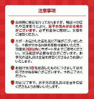 【2026年2月より順次発送】丸茂農園の福岡県産あまおう_丸茂農園の福岡県産あまおう いちご スイーツ 果物 デザート フルーツ 食べ方いろいろ ヨーグルト アイス ジャム 甘み 旬 酸味 濃厚 赤い